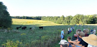 Dibbern Farm