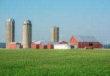 Farm Tragedy by the Numbers (Infographic)