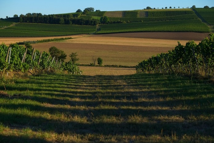 lane-1620699_1280