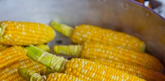 corn