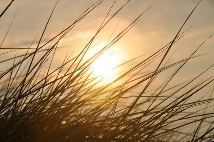 sunset sunset