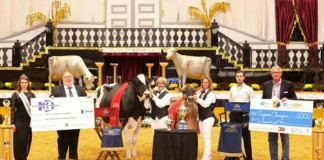 World Dairy Expo supreme