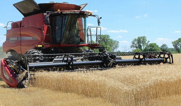 Wheat harvest Wheat harvest