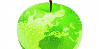 apple globe