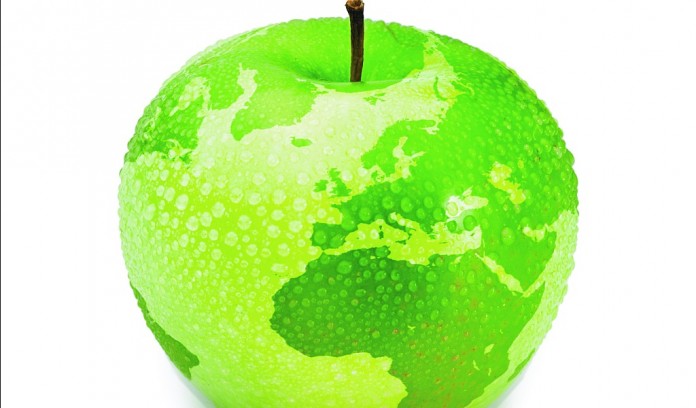 apple globe