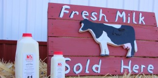 Buckeye Creamery sign