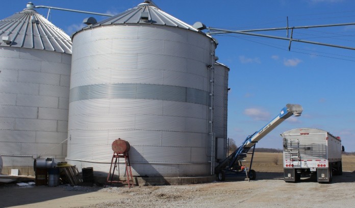 grain storage.Bins 1 grain storage bin