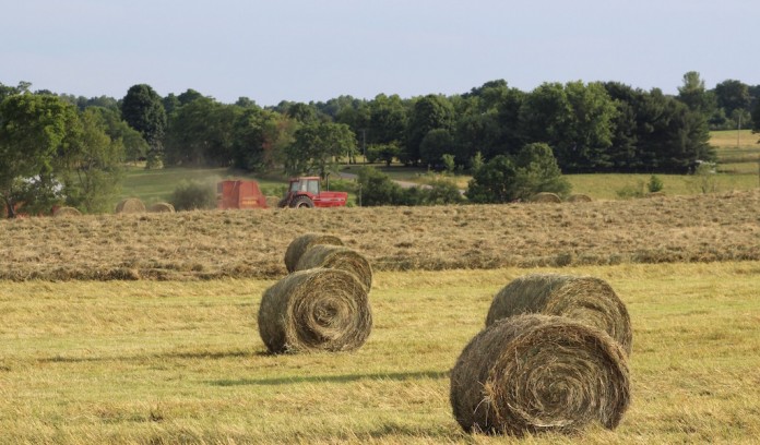 Round bales Baling hay
