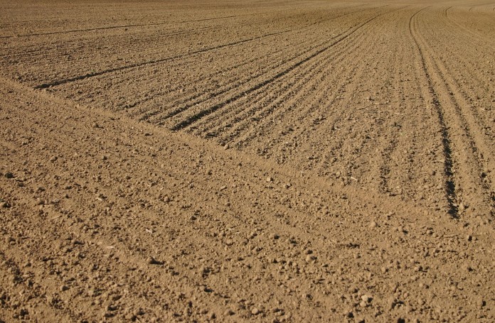arable-1732643_1280