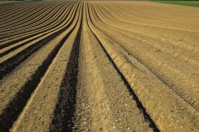 crop-1149914_1280