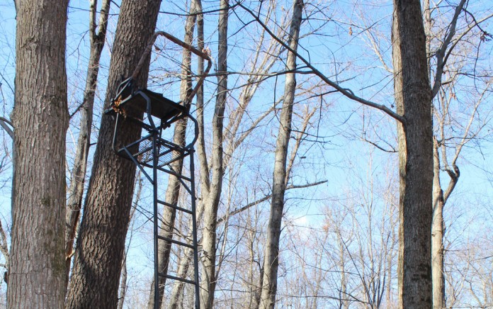 deer standweb