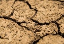 West Virginia farmers can apply now for state drought relief funds