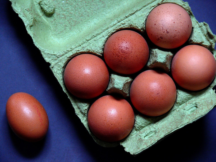 egg-1803348_1280