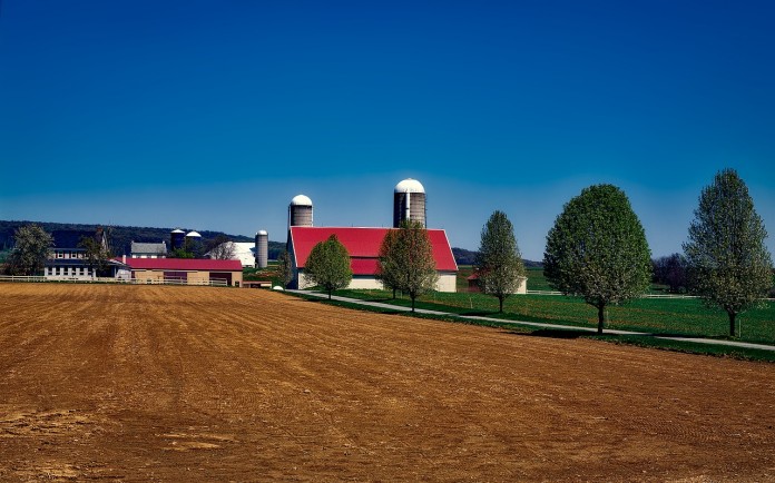 farm-1740682_1280