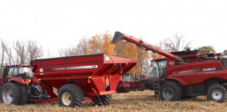 Corn harvest 2016