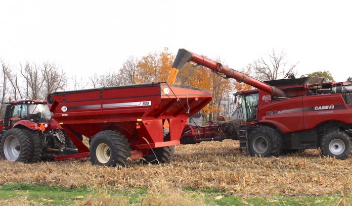 harvesting dump grain Corn harvest 2016