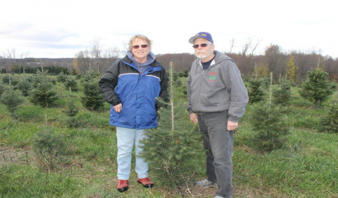 Moore's Tree Farm Moore's Tree Farm