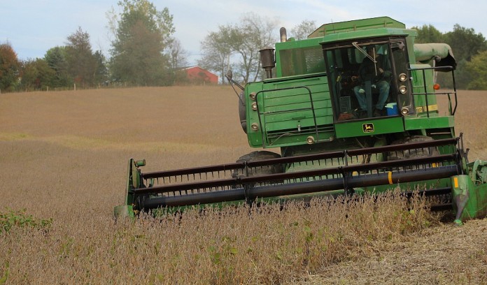 soybean harvest 2016 harvesting soybeans