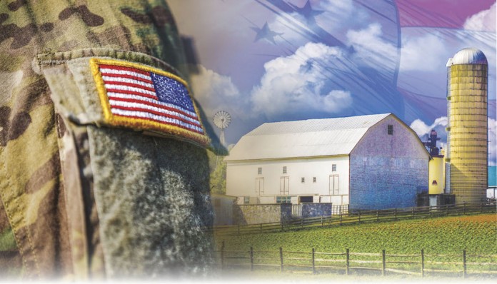 veterans day