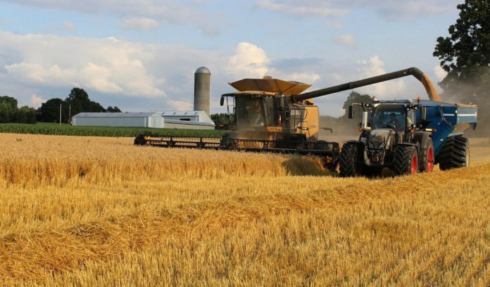 wheat harvest wheat harvest