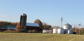 Farm landscape