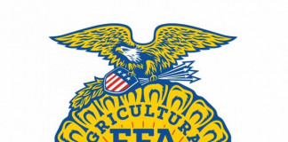FFA logo