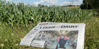 Farm and Dairy