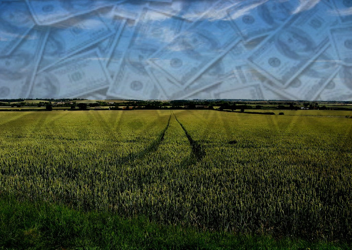 finance banner