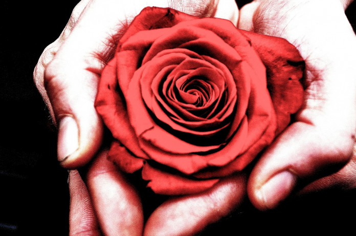 flowers-21265_1280