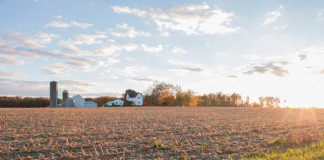 Farmland