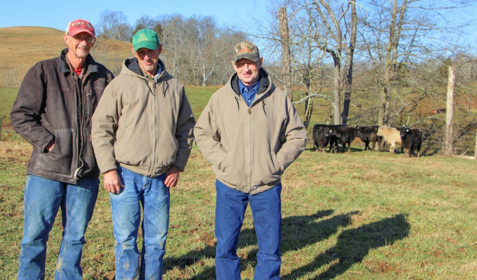 OCA Vollborn header Vollborn brothers
