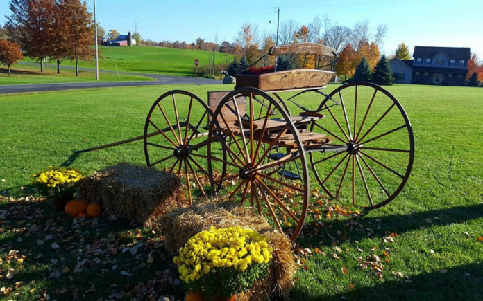Buckboard restoration Buckboard restoration
