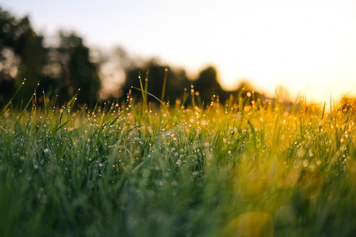 depth-of-field-1850206_1280
