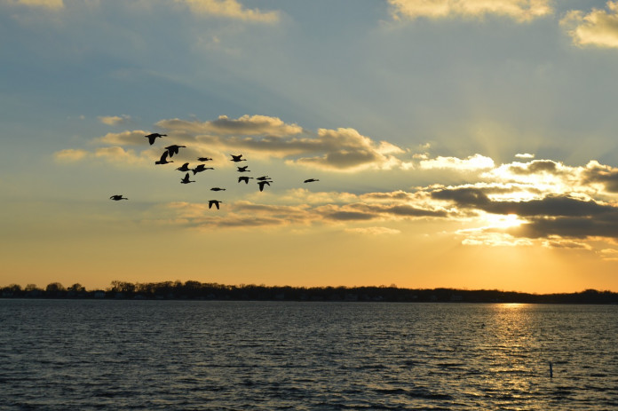 nature-1323056_1280