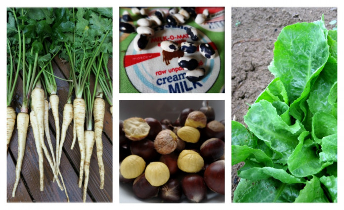 winter food banner
