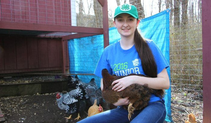 Ava Lonneman header Ava Lonneman and chicken