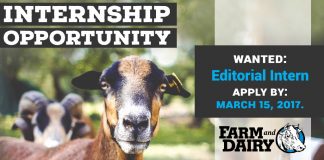 Farm and Dairy internship