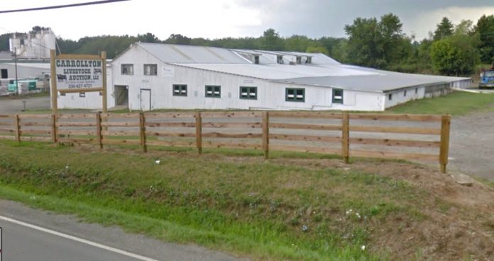 Carrollton Livestock Auction