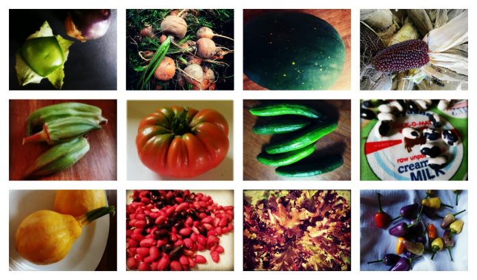 heirloom collage