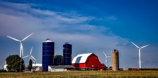 iowa