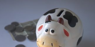 piggy bank