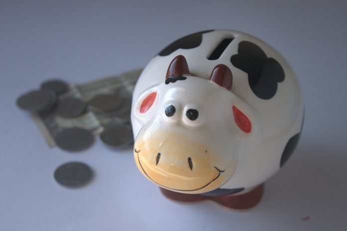 piggy bank piggy bank