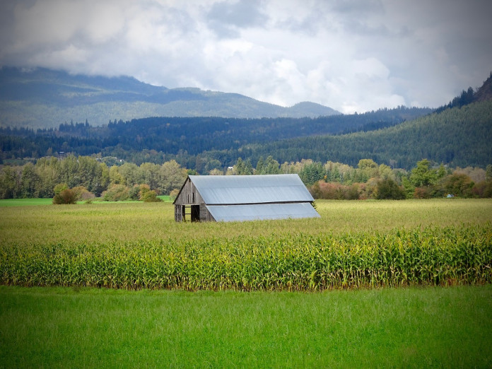 shed-1691190_1280