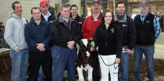 Holstein brings $32,000 at sale