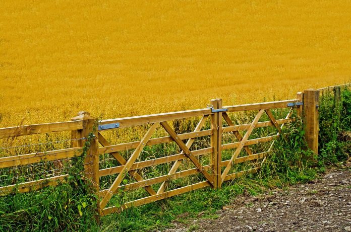 agriculture-71656_1280