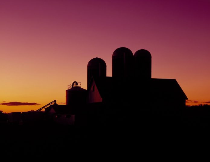 dairy-barn-1468954_1280