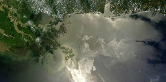 Deepwater Horizon spill