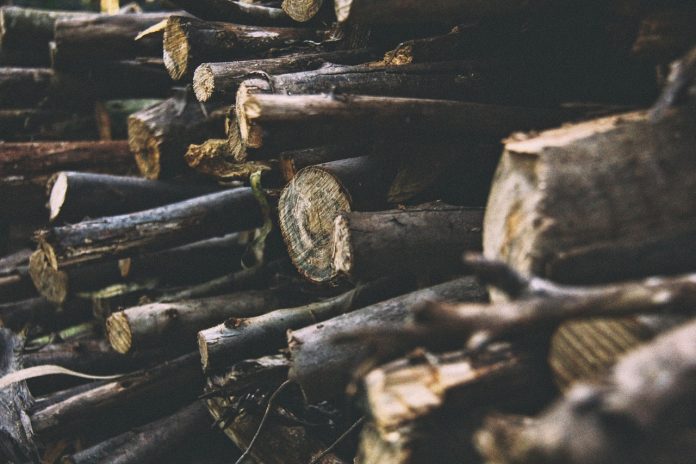 logs-918931_1280