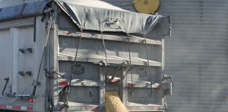 Grain delivery