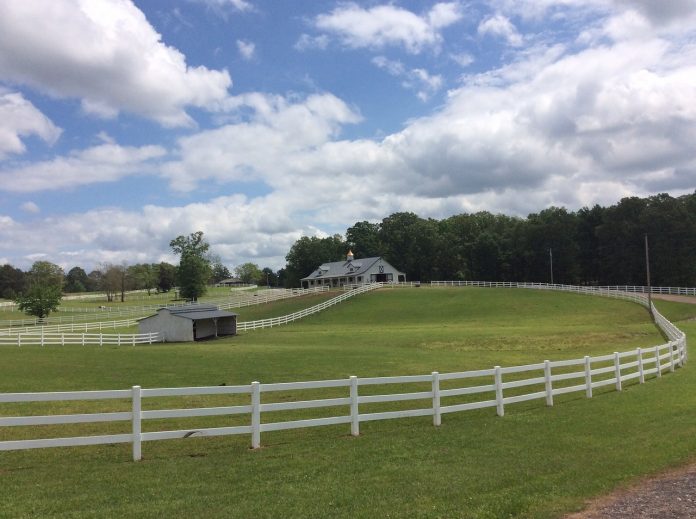 pasture pasture